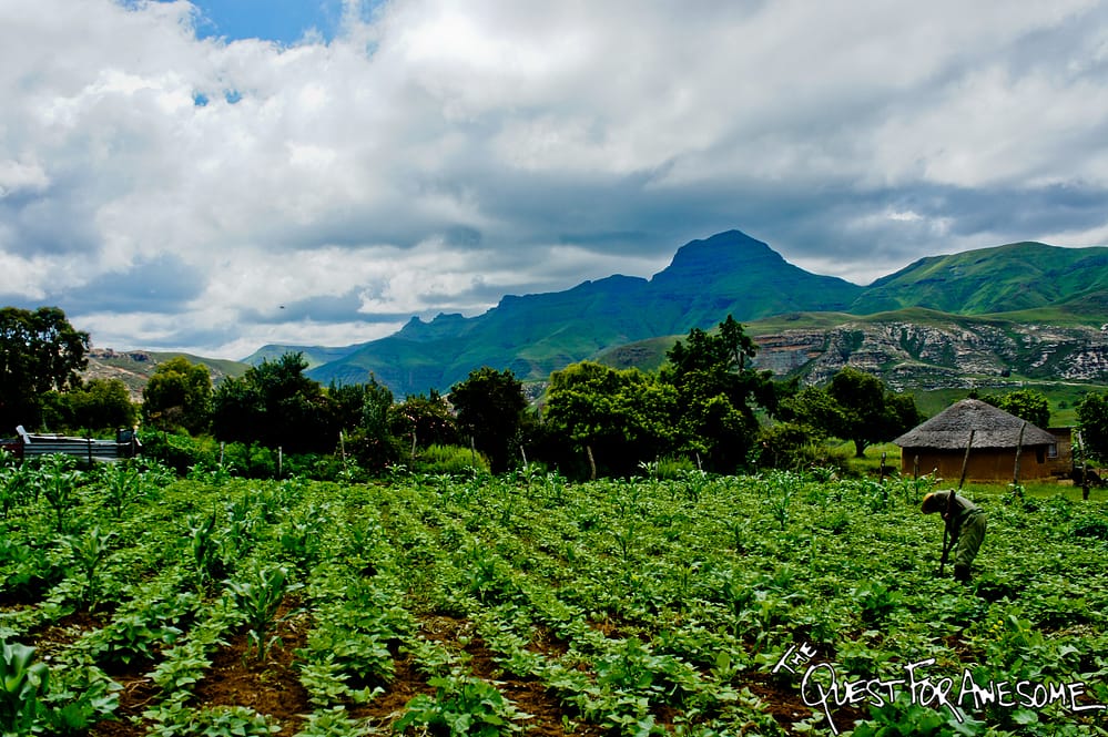 Lesotho Farmland