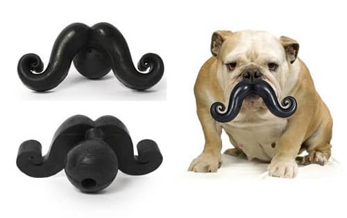 Dog ball mustache